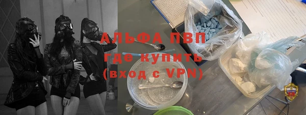 сатива Алзамай