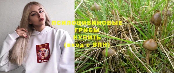 сатива Алзамай