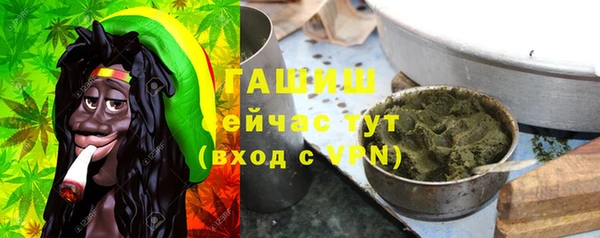 сатива Алзамай