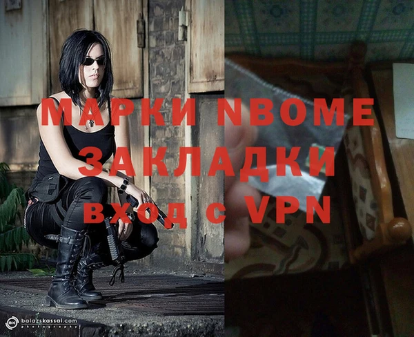 сатива Алзамай