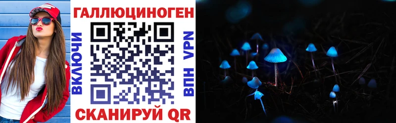 Псилоцибиновые грибы Cubensis Тейково